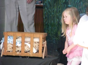 IMG_5560